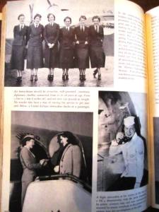 Air Stewardesses